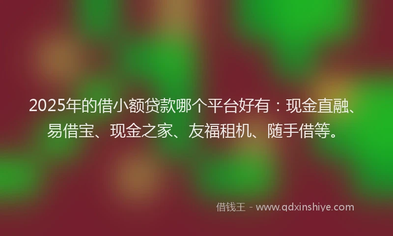 2025年的借小额贷款哪个平台好有：现金直融、易借宝、现金之家、友福租机、随手借等。