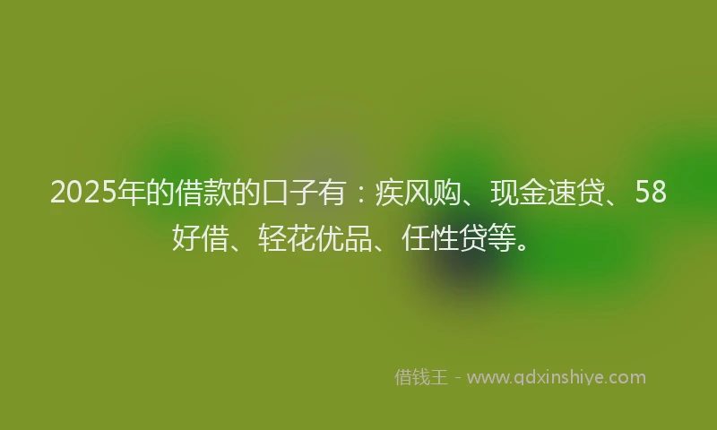 2025年的借款的口子有：疾风购、现金速贷、58好借、轻花优品、任性贷等。