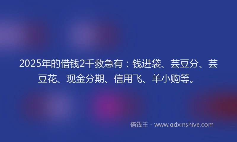 2025年的借钱2千救急有：钱进袋、芸豆分、芸豆花、现金分期、信用飞、羊小购等。