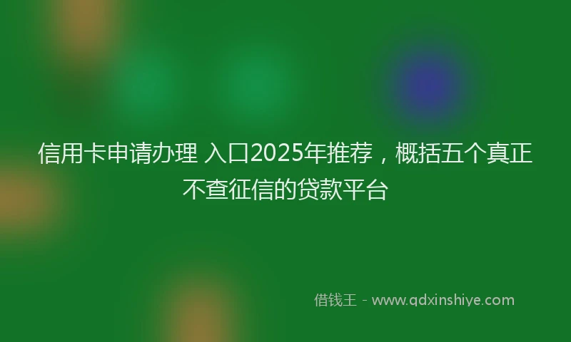 信用卡申请办理 入口2025年推荐，概括五个真正不查征信的贷款平台