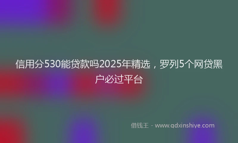 信用分530能贷款吗2025年精选，罗列5个网贷黑户必过平台