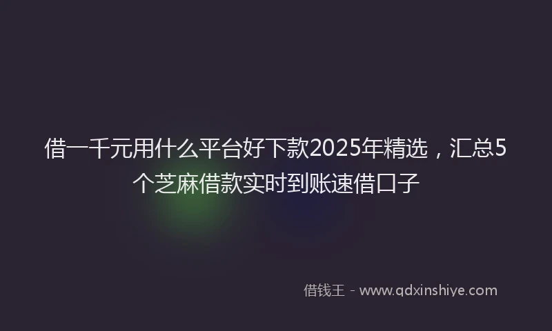 借一千元用什么平台好下款2025年精选，汇总5个芝麻借款实时到账速借口子