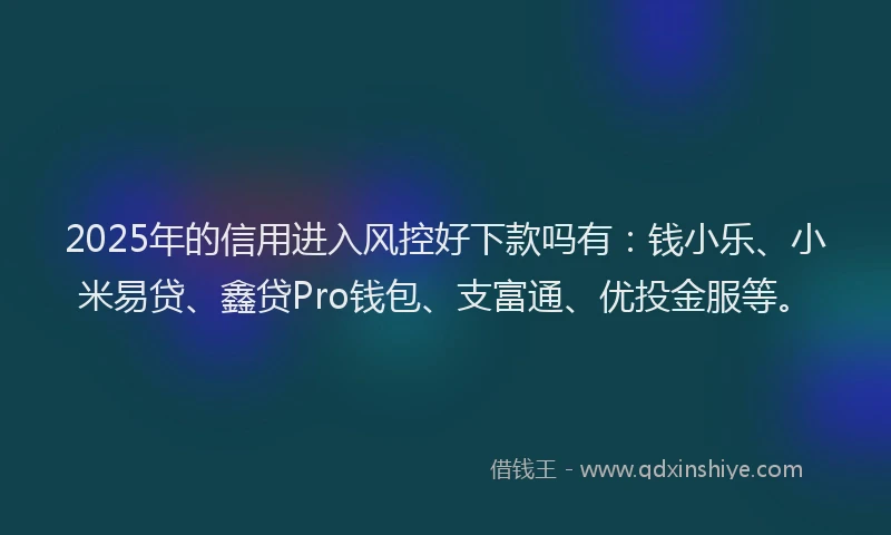 2025年的信用进入风控好下款吗有：钱小乐、小米易贷、鑫贷Pro钱包、支富通、优投金服等。