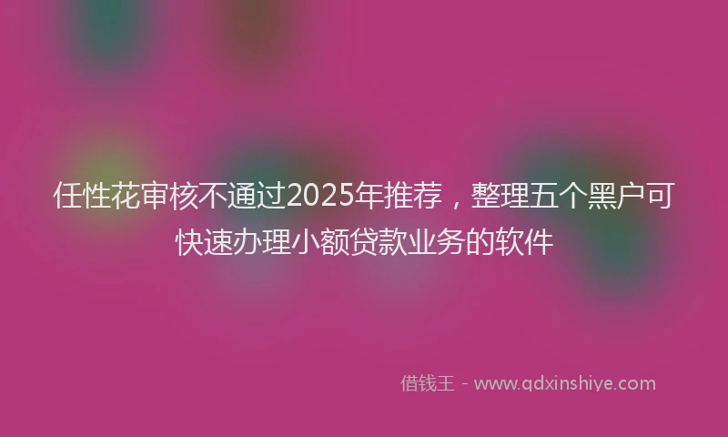 任性花审核不通过2025年推荐，整理五个黑户可快速办理小额贷款业务的软件
