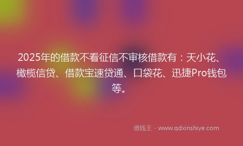 2025年的借款不看征信不审核借款有：天小花、橄榄信贷、借款宝速贷通、口袋花、迅捷Pro钱包等。