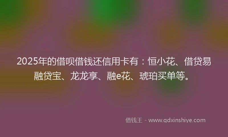 2025年的借呗借钱还信用卡有：恒小花、借贷易融贷宝、龙龙享、融e花、琥珀买单等。