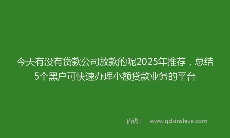 今天有没有贷款公司放款的呢2025年推荐，总结5个黑户可快速办理小额贷款业务的平台