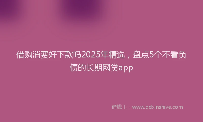 借购消费好下款吗2025年精选，盘点5个不看负债的长期网贷app