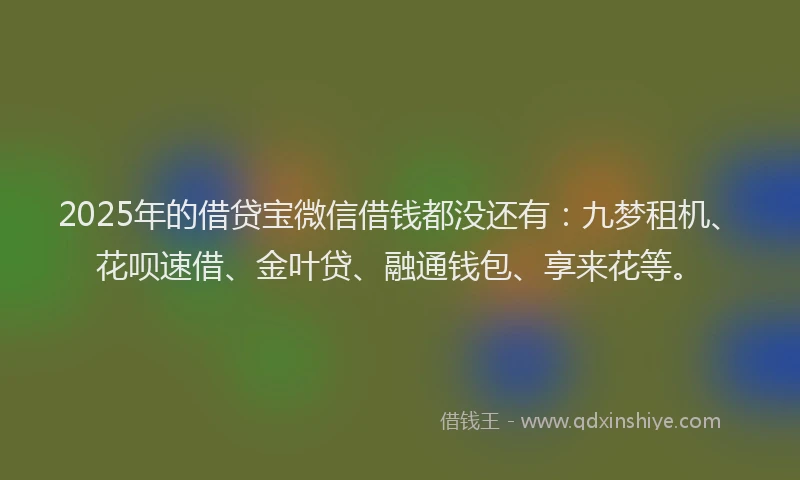 2025年的借贷宝微信借钱都没还有：九梦租机、花呗速借、金叶贷、融通钱包、享来花等。