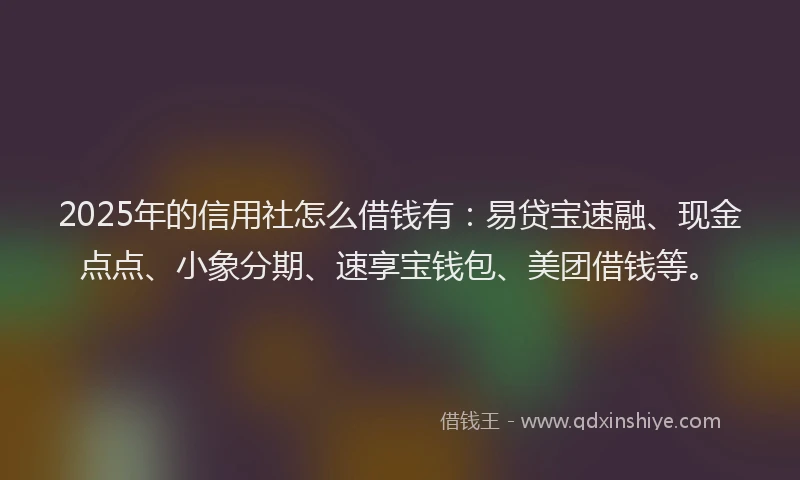 2025年的信用社怎么借钱有：易贷宝速融、现金点点、小象分期、速享宝钱包、美团借钱等。