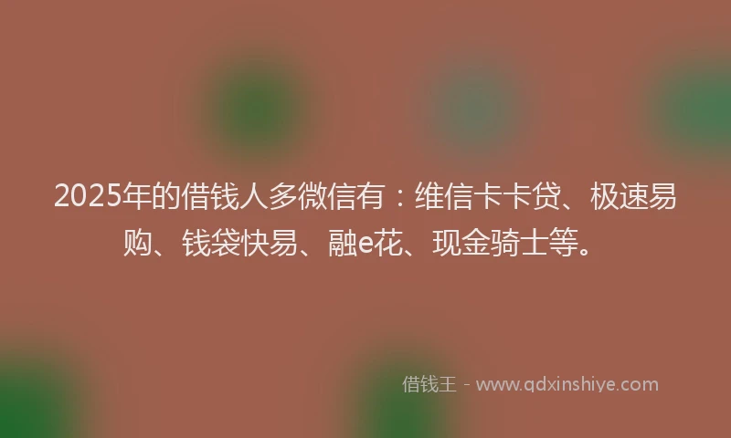 2025年的借钱人多微信有：维信卡卡贷、极速易购、钱袋快易、融e花、现金骑士等。