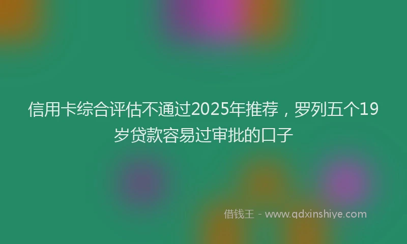 信用卡综合评估不通过2025年推荐，罗列五个19岁贷款容易过审批的口子