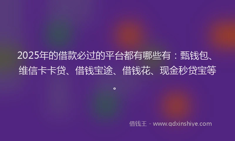 2025年的借款必过的平台都有哪些有：甄钱包、维信卡卡贷、借钱宝途、借钱花、现金秒贷宝等。