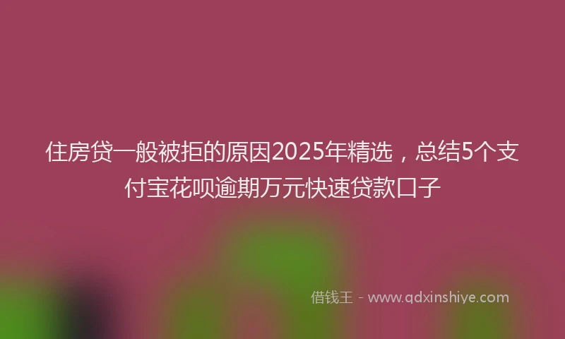 住房贷一般被拒的原因2025年精选，总结5个支付宝花呗逾期万元快速贷款口子