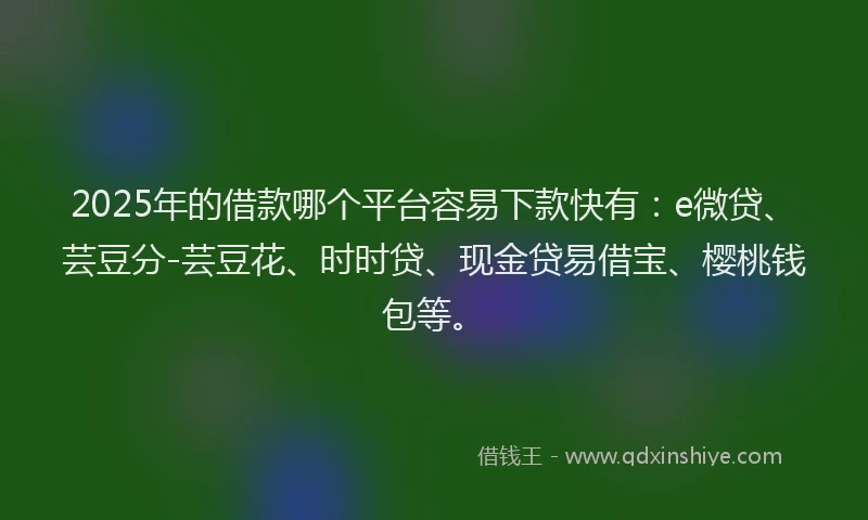 2025年的借款哪个平台容易下款快有：e微贷、芸豆分-芸豆花、时时贷、现金贷易借宝、樱桃钱包等。