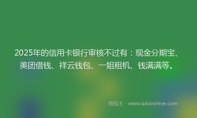 2025年的信用卡银行审核不过有：现金分期宝、美团借钱、祥云钱包、一姐租机、钱满满等。