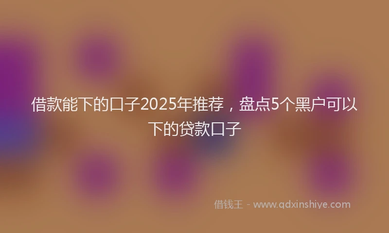 借款能下的口子2025年推荐，盘点5个黑户可以下的贷款口子