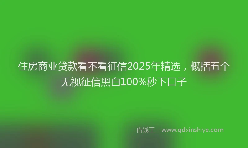 住房商业贷款看不看征信2025年精选，概括五个无视征信黑白100%秒下口子