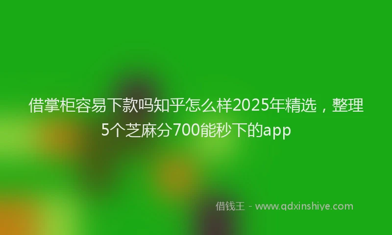 借掌柜容易下款吗知乎怎么样2025年精选，整理5个芝麻分700能秒下的app