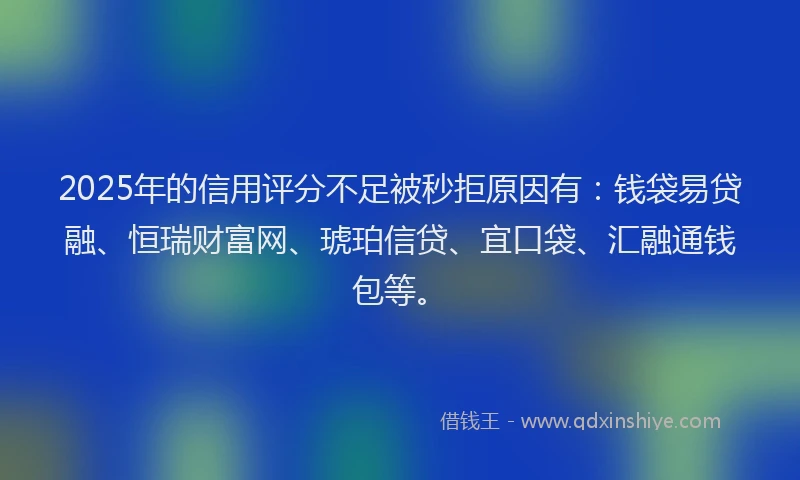 2025年的信用评分不足被秒拒原因有：钱袋易贷融、恒瑞财富网、琥珀信贷、宜口袋、汇融通钱包等。