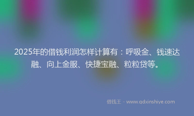 2025年的借钱利润怎样计算有：呼吸金、钱速达融、向上金服、快捷宝融、粒粒贷等。