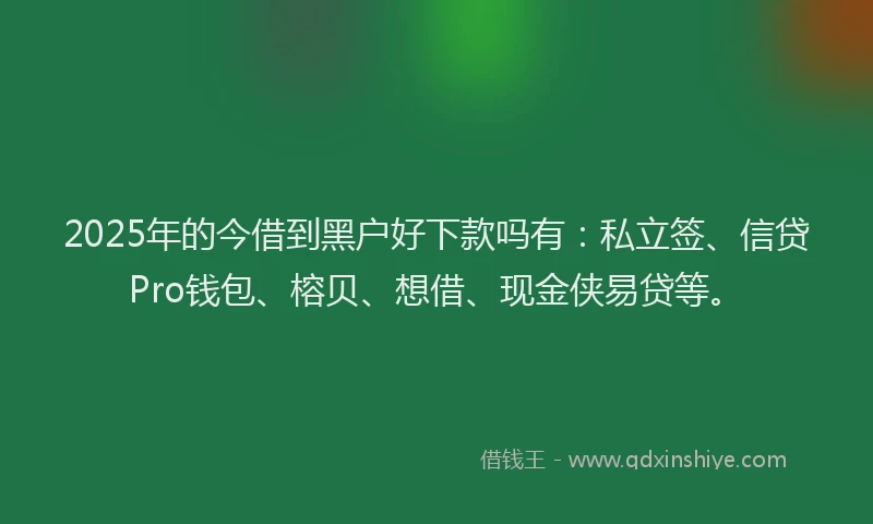 2025年的今借到黑户好下款吗有：私立签、信贷Pro钱包、榕贝、想借、现金侠易贷等。