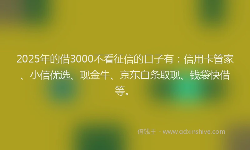 2025年的借3000不看征信的口子有：信用卡管家、小信优选、现金牛、京东白条取现、钱袋快借等。