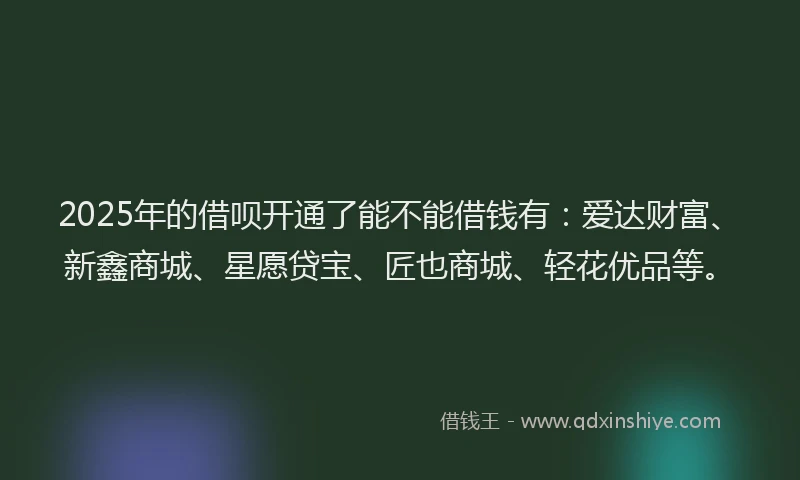 2025年的借呗开通了能不能借钱有：爱达财富、新鑫商城、星愿贷宝、匠也商城、轻花优品等。