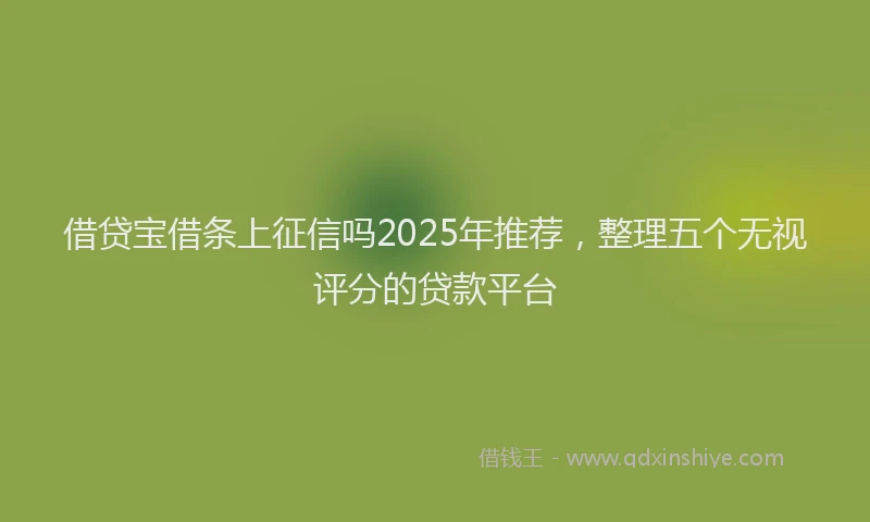 借贷宝借条上征信吗2025年推荐，整理五个无视评分的贷款平台