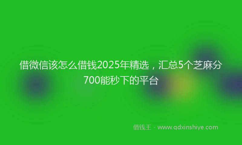借微信该怎么借钱2025年精选，汇总5个芝麻分700能秒下的平台
