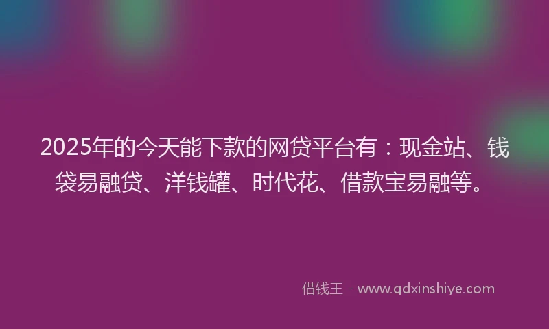 2025年的今天能下款的网贷平台有：现金站、钱袋易融贷、洋钱罐、时代花、借款宝易融等。