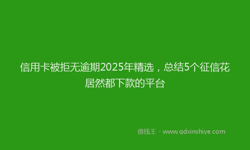 信用卡被拒无逾期2025年精选，总结5个征信花居然都下款的平台