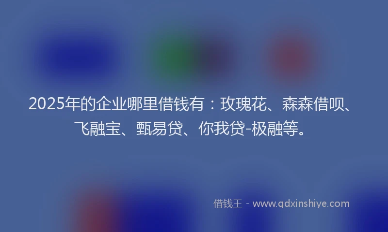 2025年的企业哪里借钱有：玫瑰花、森森借呗、飞融宝、甄易贷、你我贷-极融等。