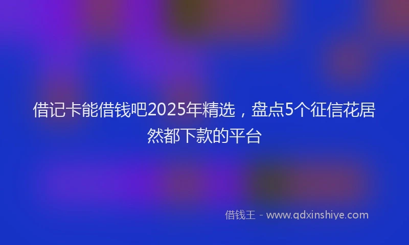 借记卡能借钱吧2025年精选，盘点5个征信花居然都下款的平台