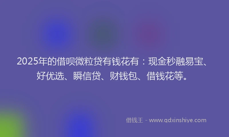 2025年的借呗微粒贷有钱花有：现金秒融易宝、好优选、瞬信贷、财钱包、借钱花等。