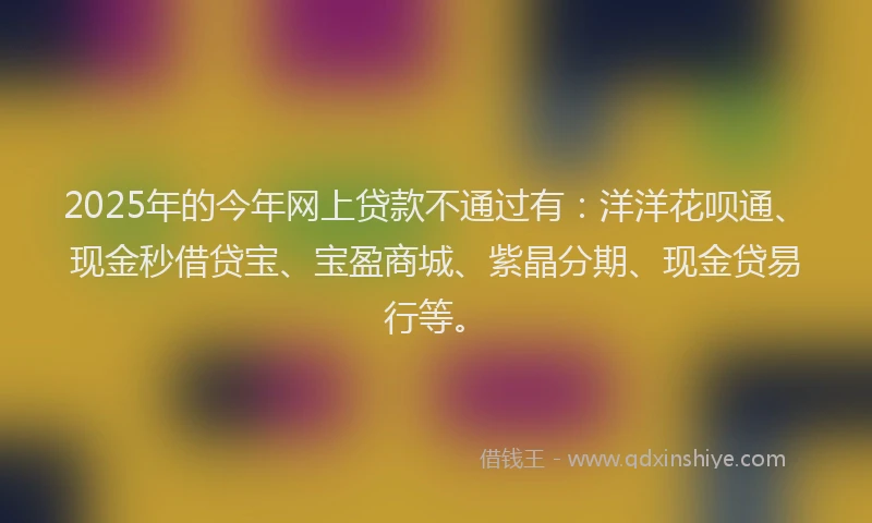 2025年的今年网上贷款不通过有：洋洋花呗通、现金秒借贷宝、宝盈商城、紫晶分期、现金贷易行等。