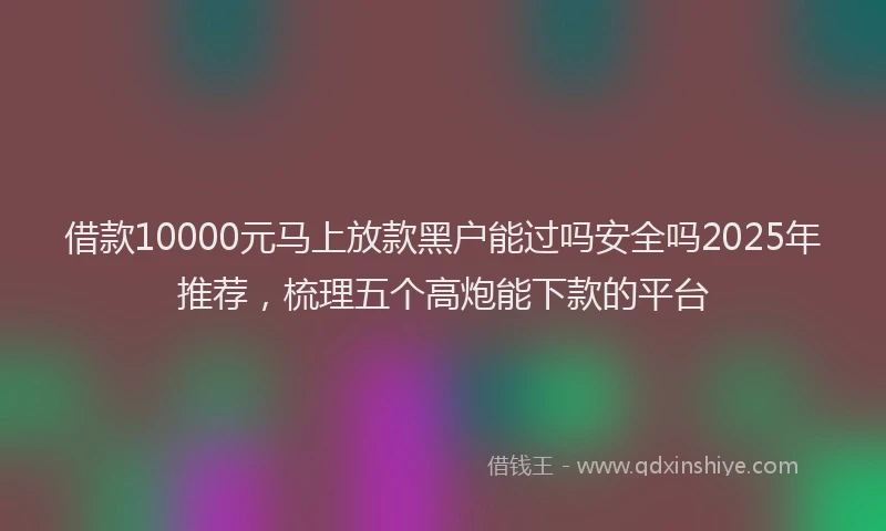 借款10000元马上放款黑户能过吗安全吗2025年推荐，梳理五个高炮能下款的平台