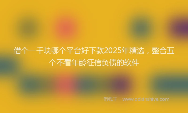 借个一千块哪个平台好下款2025年精选，整合五个不看年龄征信负债的软件
