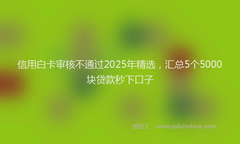 信用白卡审核不通过2025年精选，汇总5个5000块贷款秒下口子