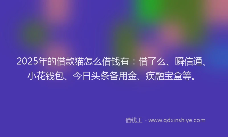 2025年的借款猫怎么借钱有：借了么、瞬信通、小花钱包、今日头条备用金、疾融宝盒等。