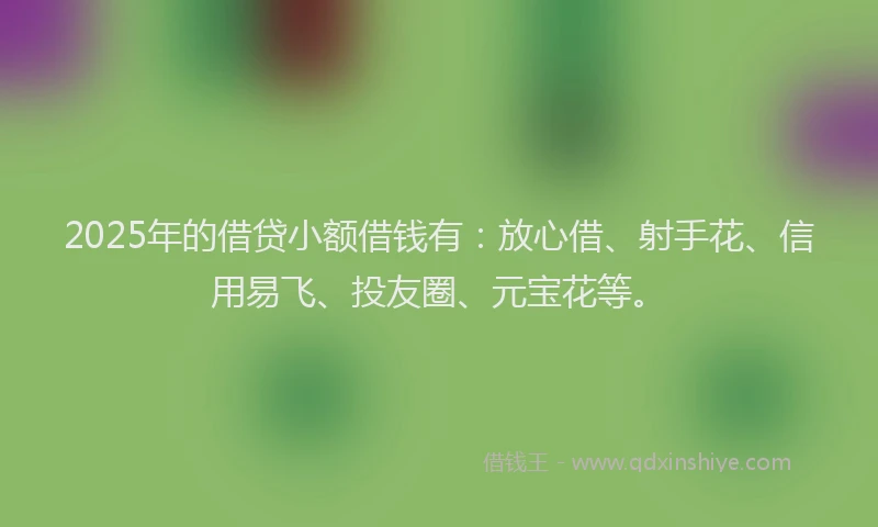 2025年的借贷小额借钱有：放心借、射手花、信用易飞、投友圈、元宝花等。