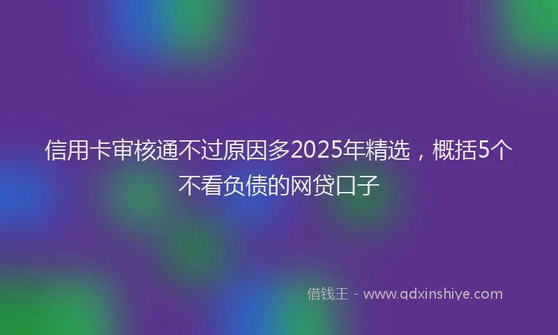 信用卡审核通不过原因多2025年精选，概括5个不看负债的网贷口子