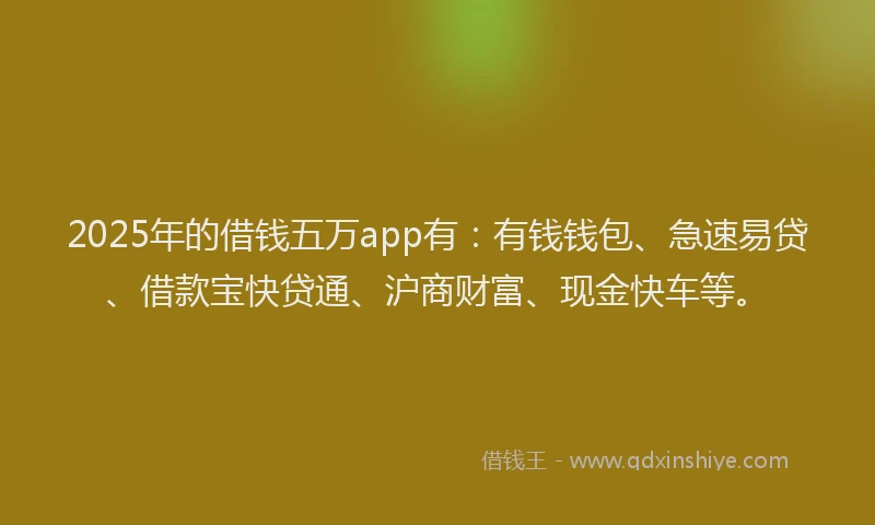 2025年的借钱五万app有：有钱钱包、急速易贷、借款宝快贷通、沪商财富、现金快车等。