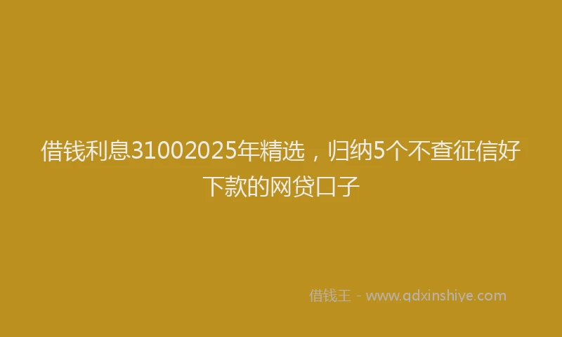 借钱利息31002025年精选，归纳5个不查征信好下款的网贷口子