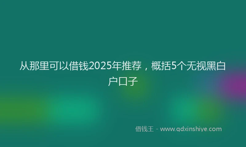 从那里可以借钱2025年推荐，概括5个无视黑白户口子