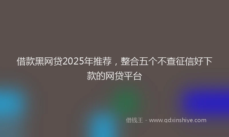借款黑网贷2025年推荐，整合五个不查征信好下款的网贷平台