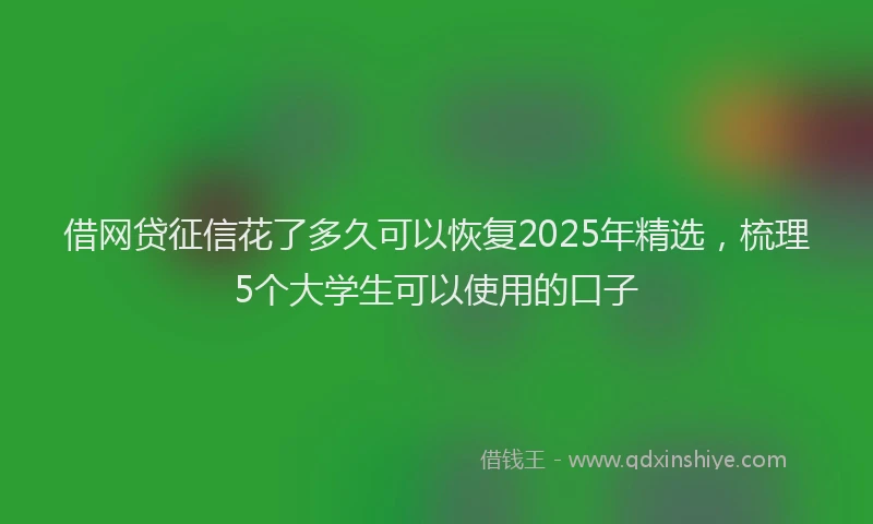 借网贷征信花了多久可以恢复2025年精选，梳理5个大学生可以使用的口子