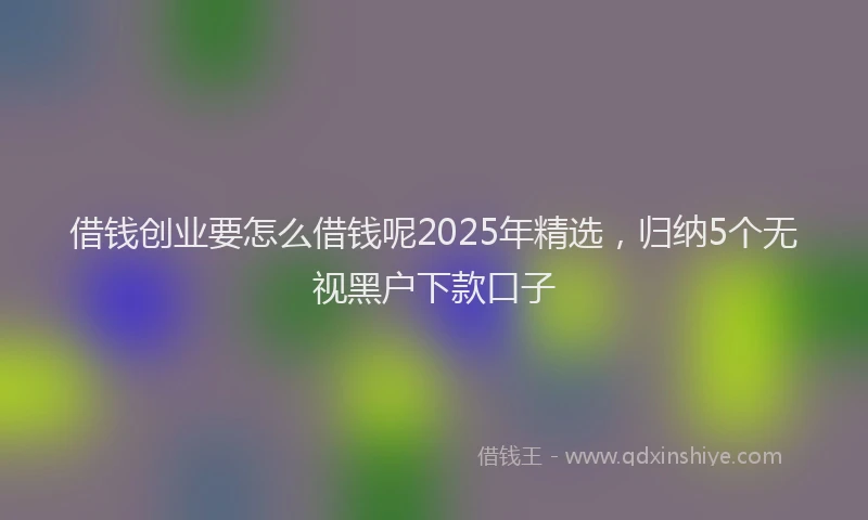借钱创业要怎么借钱呢2025年精选，归纳5个无视黑户下款口子