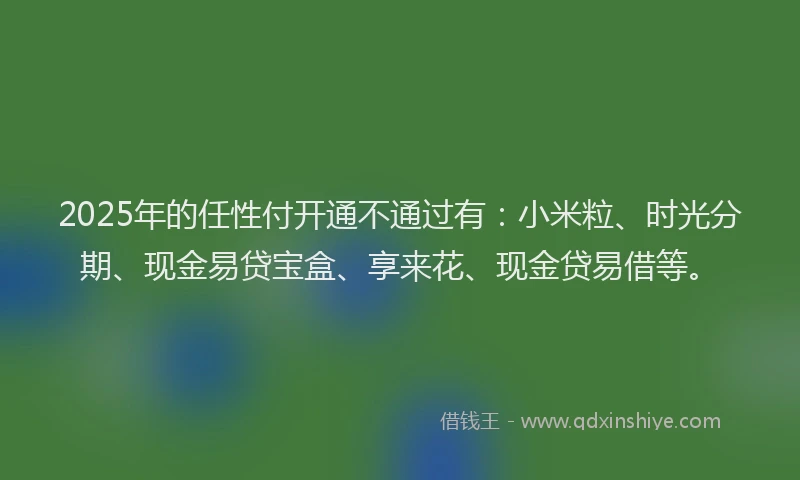 2025年的任性付开通不通过有：小米粒、时光分期、现金易贷宝盒、享来花、现金贷易借等。