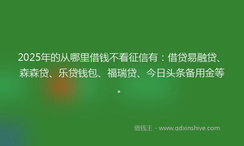 2025年的从哪里借钱不看征信有：借贷易融贷、森森贷、乐贷钱包、福瑞贷、今日头条备用金等。